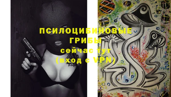 МДМА Заводоуковск