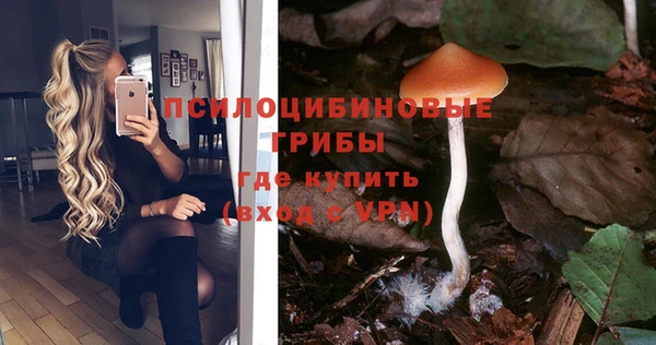 МДМА Заводоуковск