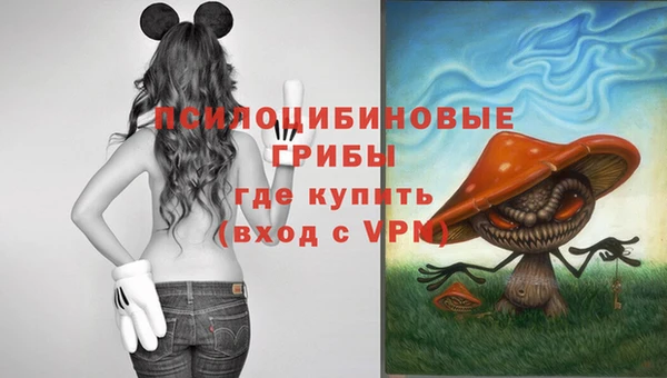PSILOCYBIN Заволжск
