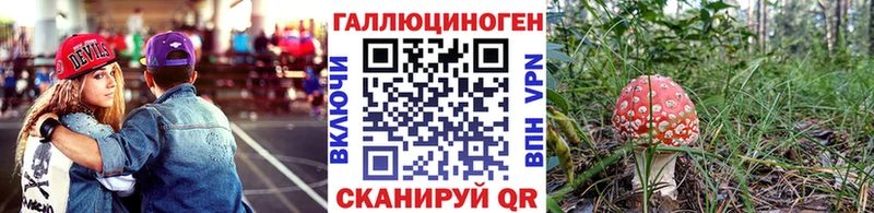 Галлюциногенные грибы MAGIC MUSHROOMS  darknet Telegram  Октябрьский 