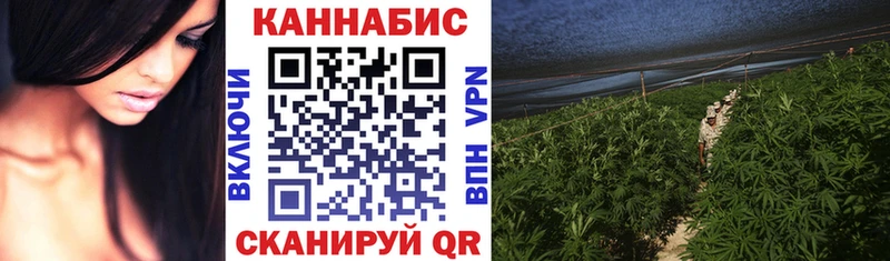 Шишки марихуана сатива  продажа наркотиков  Октябрьский 
